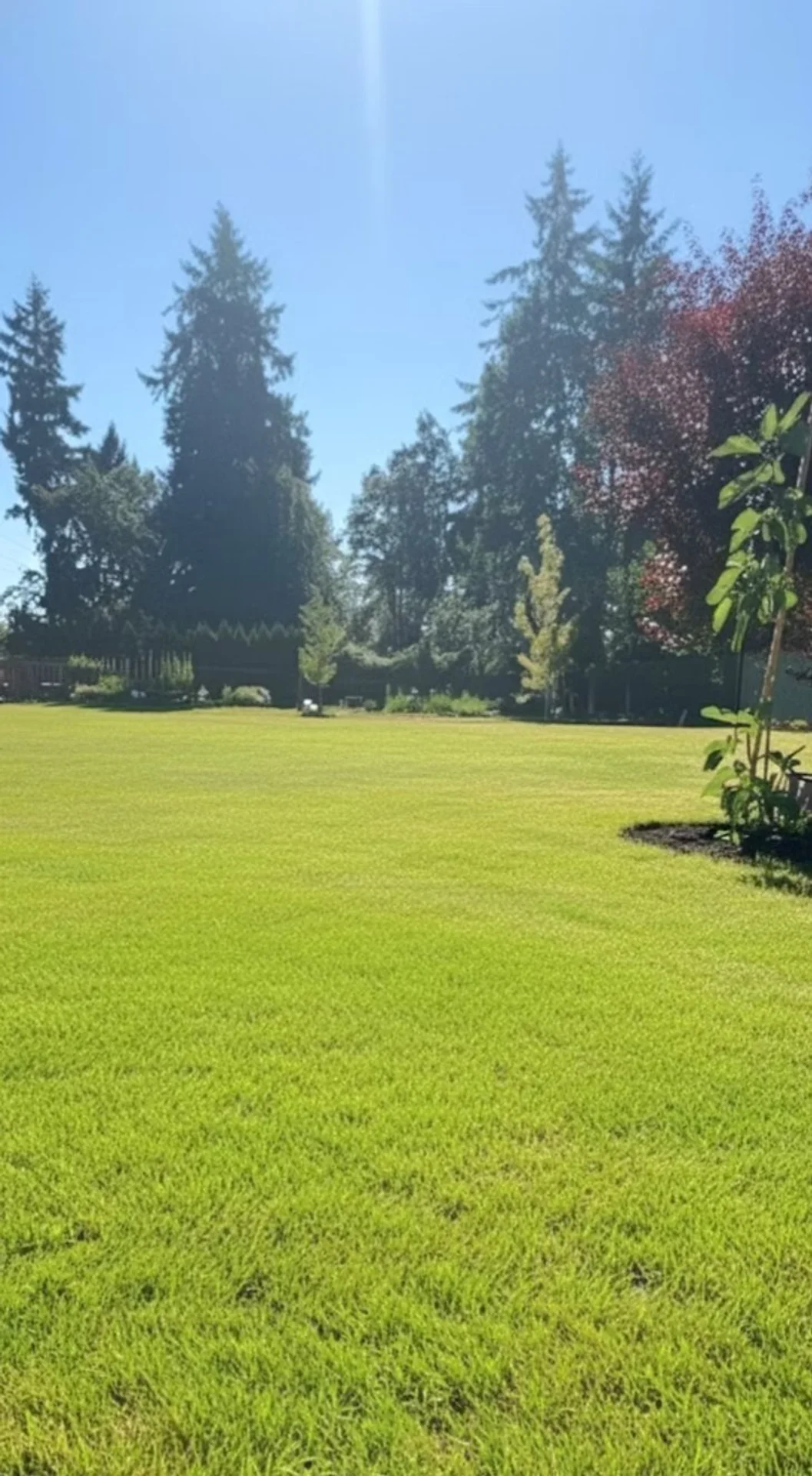 Alpine Ridge Senior Care Inc - Home photo